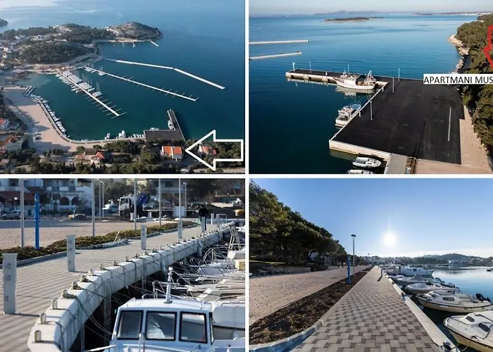 First Row To The Sea - Mustel - Adults Only