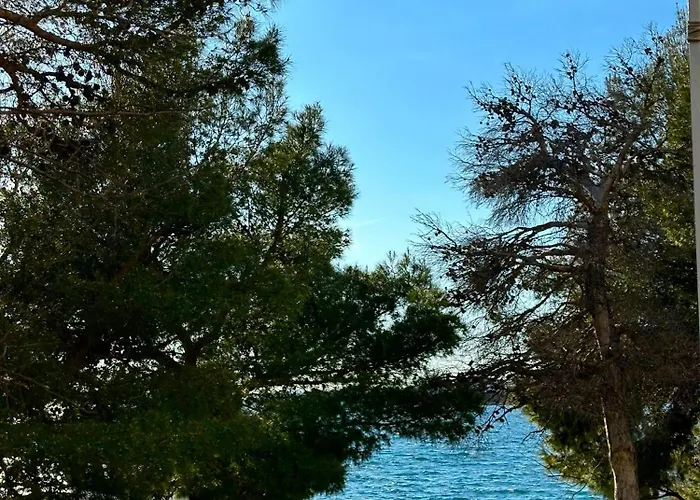 First Row To The Sea - Mustel - Adults Only *